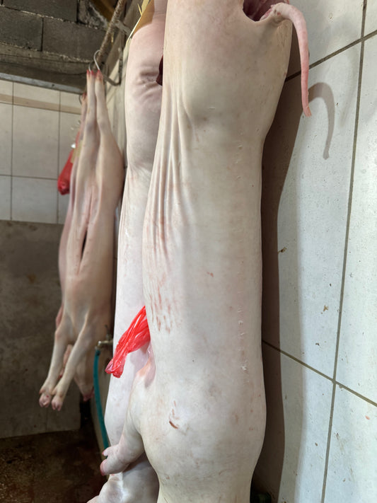 Ocisceno prase
